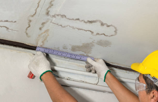 Reliable Mold Remediation contractor in Cromwell, MN by Water Damage Irwin